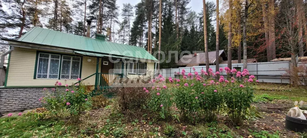 Дом в посёлок Сосновый Бор, 4 (80.6 м) - Фото 2