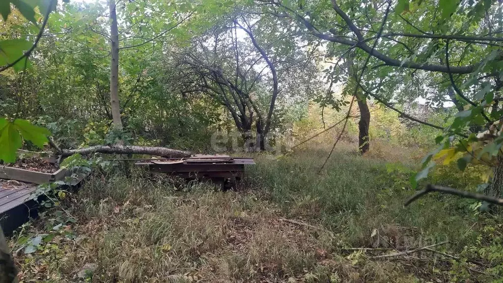 Участок в Ставропольский край, Ставрополь Дружба-2 садовое ... - Фото 1