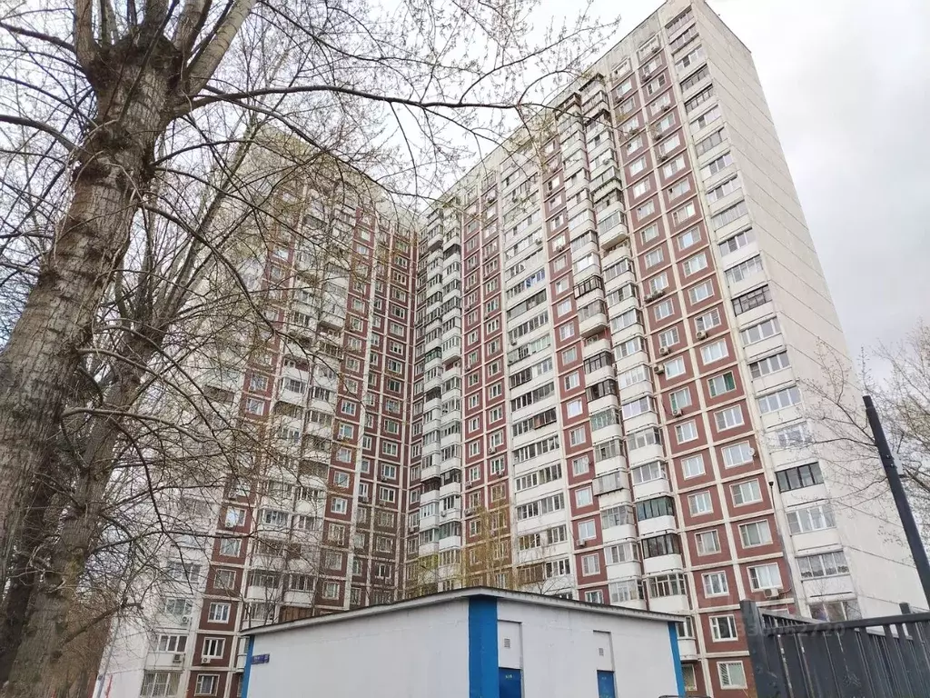 Помещение свободного назначения в Москва Тихая ул., 33 (32 м) - Фото 2