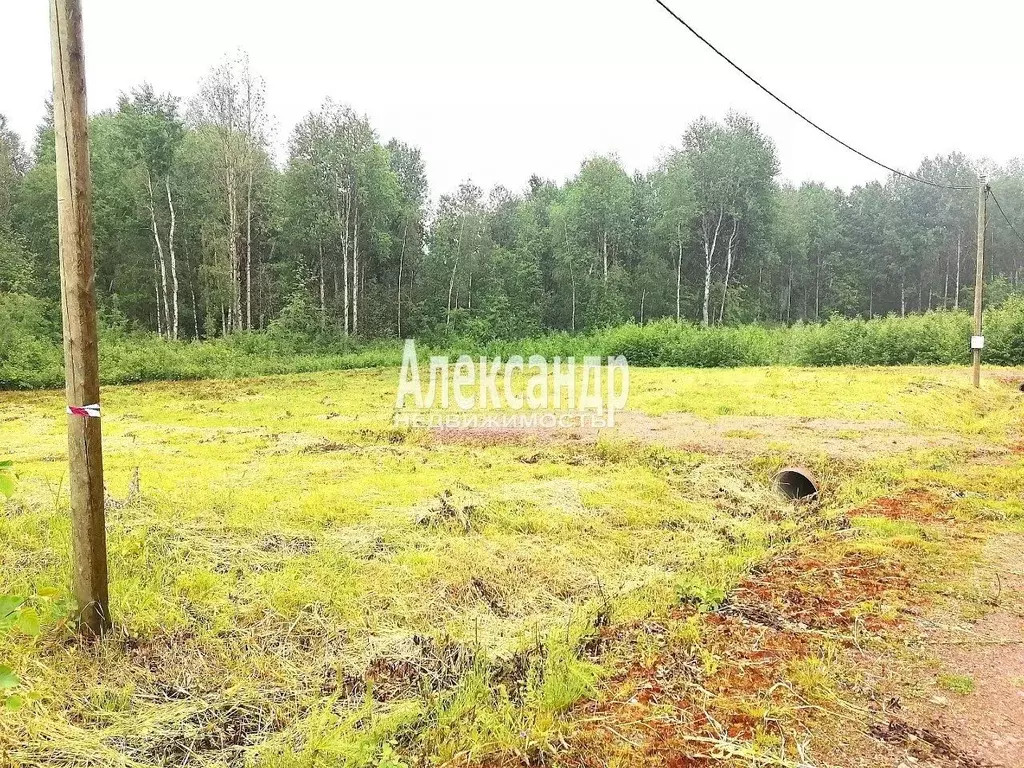 Участок в Ленинградская область, Выборгский район, Красносельское ... - Фото 0