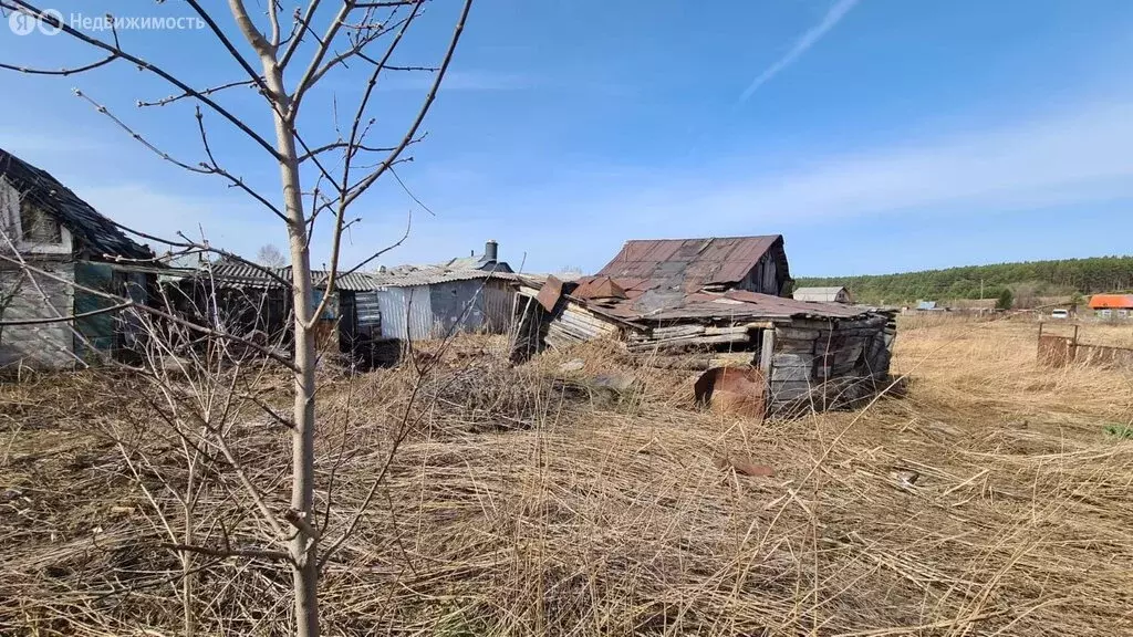 Участок в Тогучинский район, село Карпысак, Центральная улица, 83 (34 ... - Фото 0