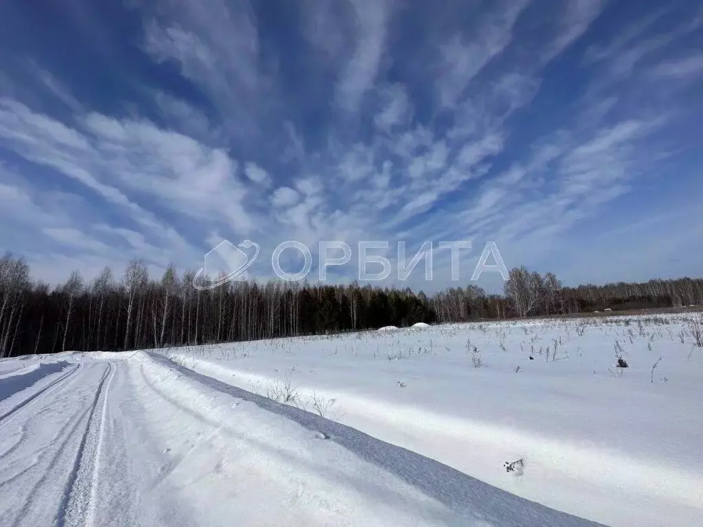 Участок в Тюменская область, Тюменский район, с. Кулига, Кулига-2 мкр  ... - Фото 1