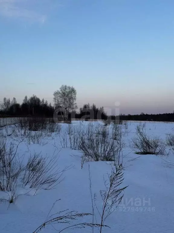 Участок в Московская область, Дмитровский муниципальный округ, д. ... - Фото 2