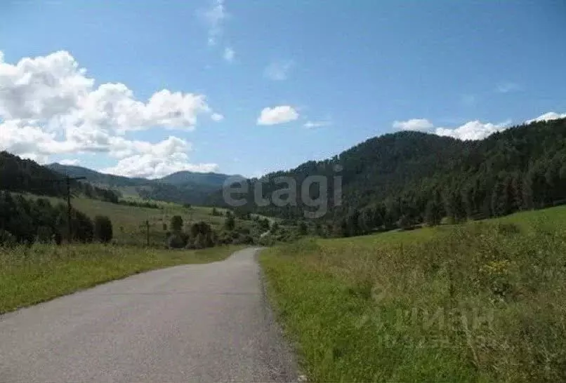 Участок в Алтай, Чемальский район, с. Бешпельтир  (80.0 сот.) - Фото 1