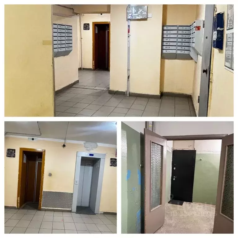 3-к кв. Пермский край, Пермь Кировоградская ул., 16 (75.8 м) - Фото 2