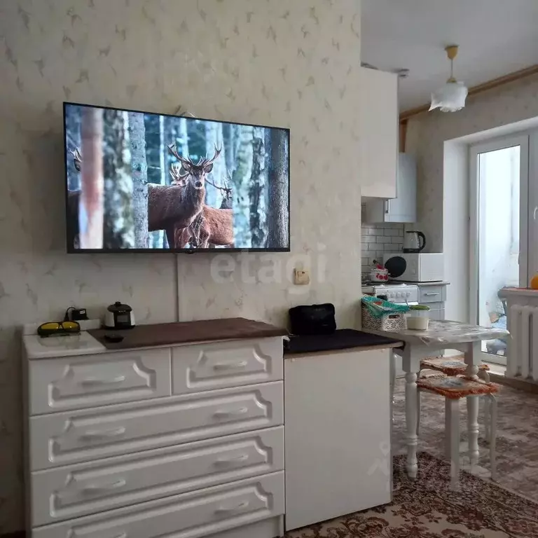 Студия Башкортостан, Дюртюли ул. Фаузи Зайлалова, 10 (24.7 м) - Фото 2