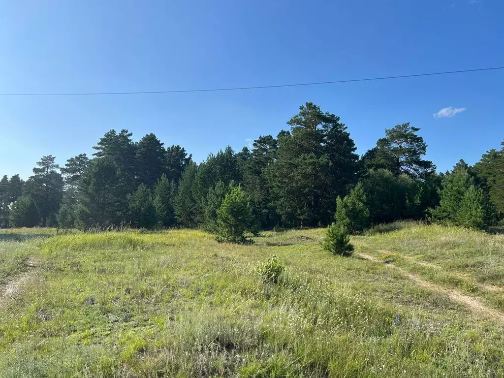 Участок в Алтайский край, Егорьевский район, Лебяжинский сельсовет, ... - Фото 1