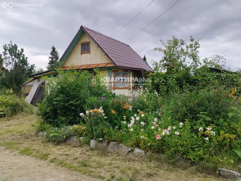 Дом в Невьянск, СНТ Коллективный сад № 3 (20 м) - Фото 1