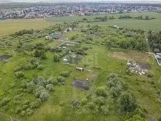 Участок в Тюменская область, Тюменский муниципальный округ, Лоза СНТ  ... - Фото 2