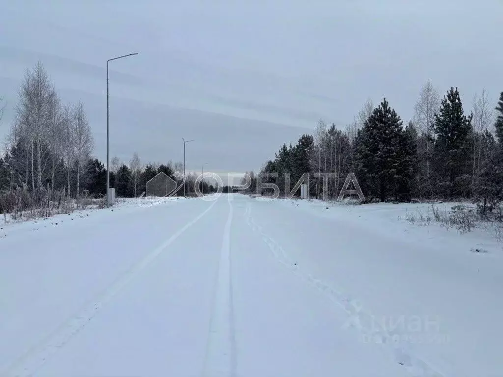 Участок в Тюменская область, Тюменский район, Новокаменский кп  (17.0 ... - Фото 0