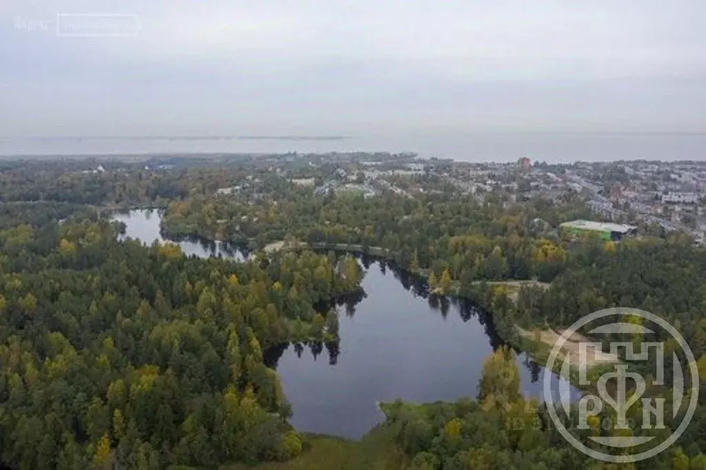 Участок в Ленинградская область, Ломоносовский район, Пениковское ... - Фото 0