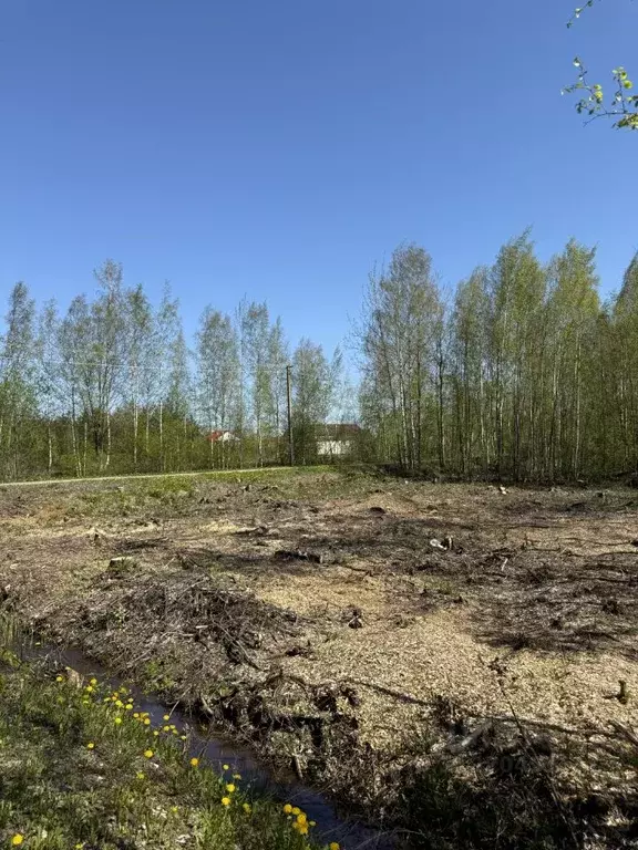 Участок в Ленинградская область, Ломоносовский район, Виллозское ... - Фото 0