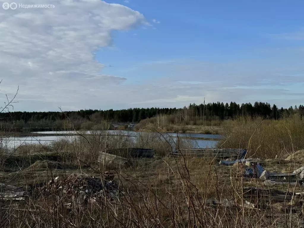 Участок в Архангельск, квартал КИЗ Силикат (16.7 м) - Фото 0