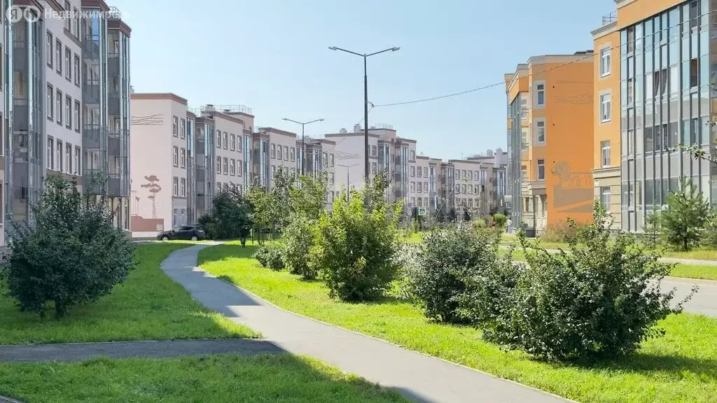 Квартира-студия: посёлок Парголово, Толубеевский проезд, 24 (26 м) - Фото 1