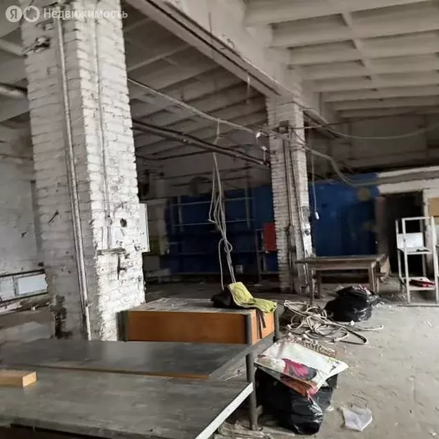 Помещение свободного назначения (310 м) - Фото 2