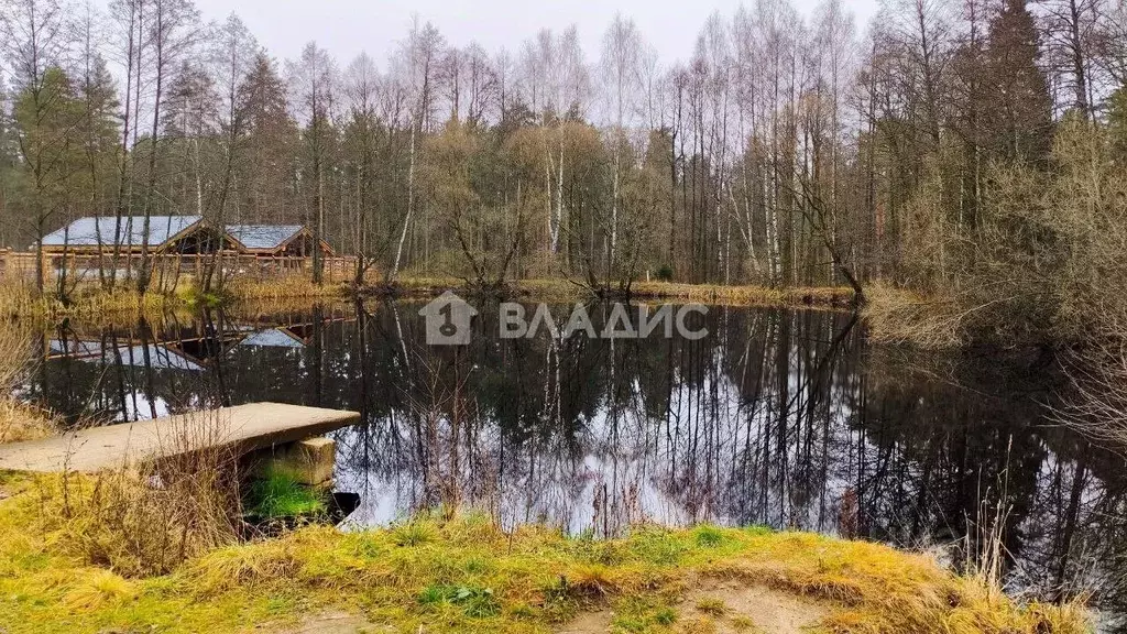 Участок в Владимирская область, Судогодский район, д. Ладога ул. Тихая ... - Фото 1