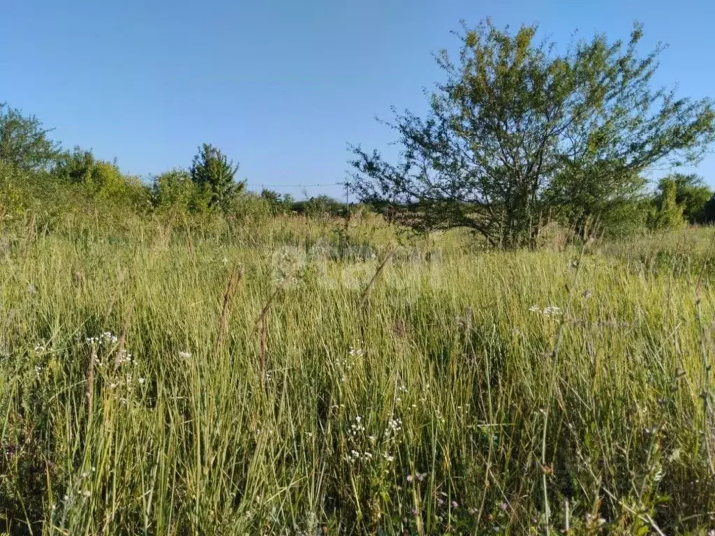 Участок в Белгородская область, Белгород Юго-Западный-2.2 мкр, пер. ... - Фото 1