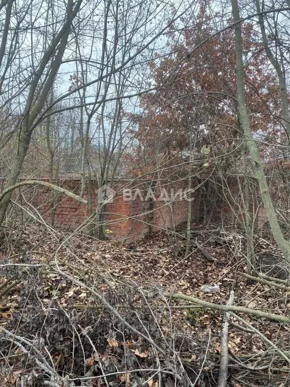 Участок в Белгородская область, Белгородский район, Тавровское с/пос, ... - Фото 2