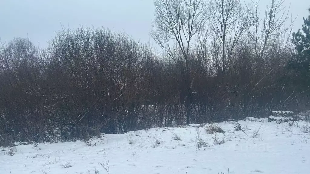 Участок в Московская область, Ступино городской округ, с. ... - Фото 0