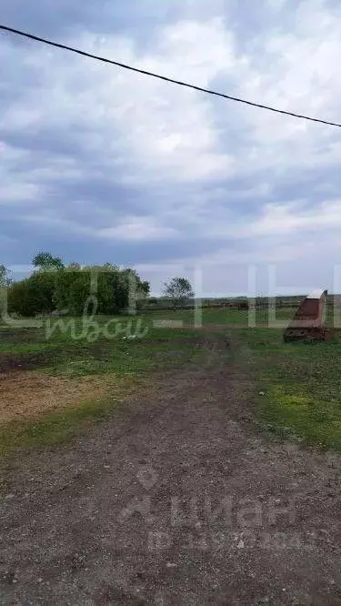 Участок в Амурская область, Благовещенский район, с. Дроново  (25.0 ... - Фото 2