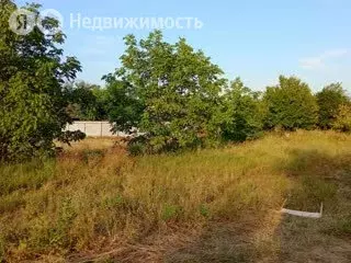 Участок в Краснодарский край, Горячий Ключ (19.5 м) - Фото 1