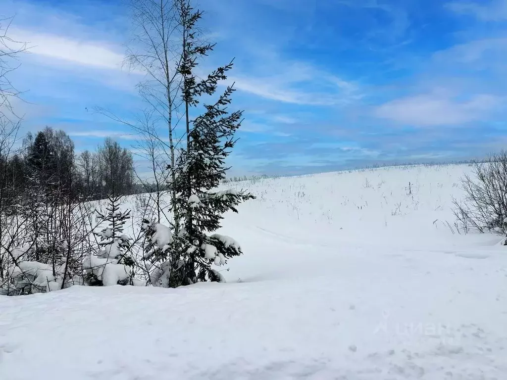 Участок в Московская область, Дмитровский муниципальный округ, ... - Фото 1