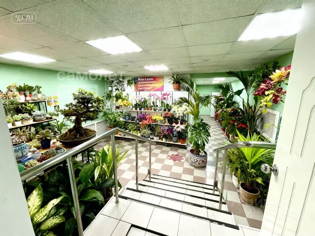 Торговая площадь в Московская область, Черноголовка Центральная ул., ... - Фото 2