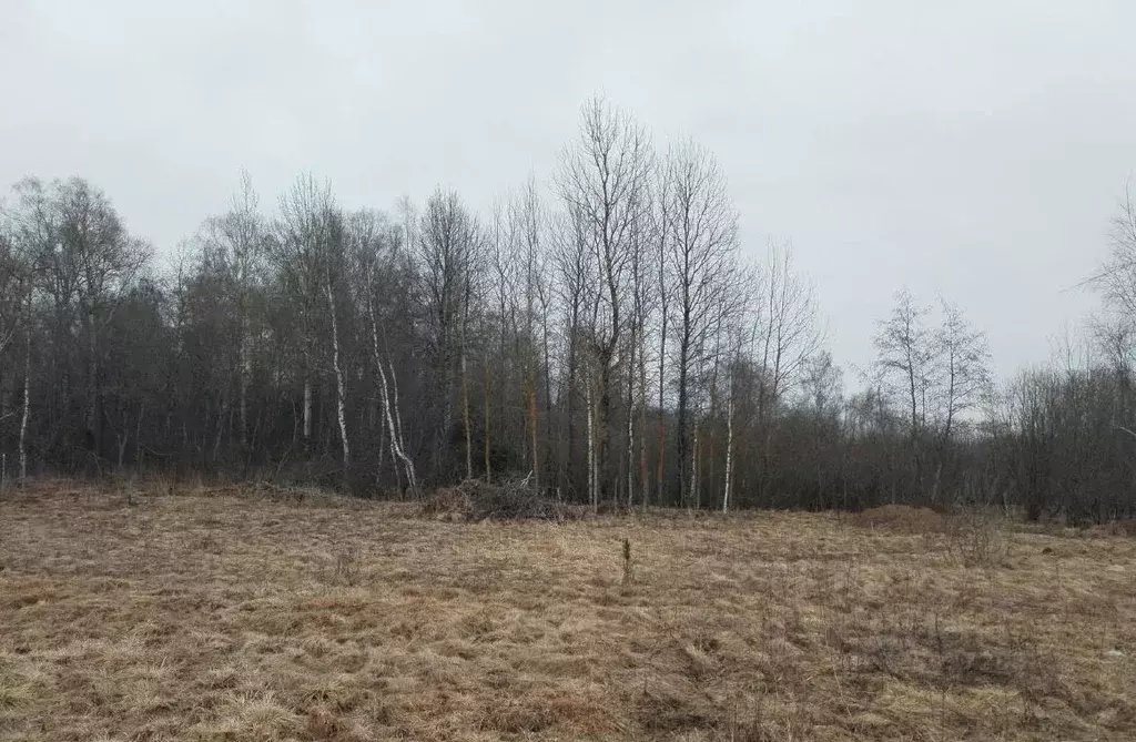 Участок в Московская область, Дмитровский муниципальный округ, д. ... - Фото 0