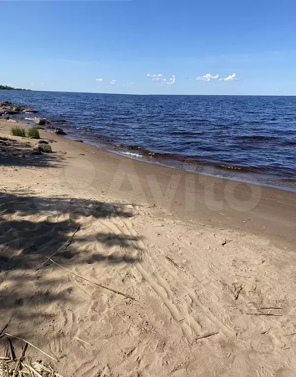 Дом 61,8 м на участке 25 сот. - Фото 0
