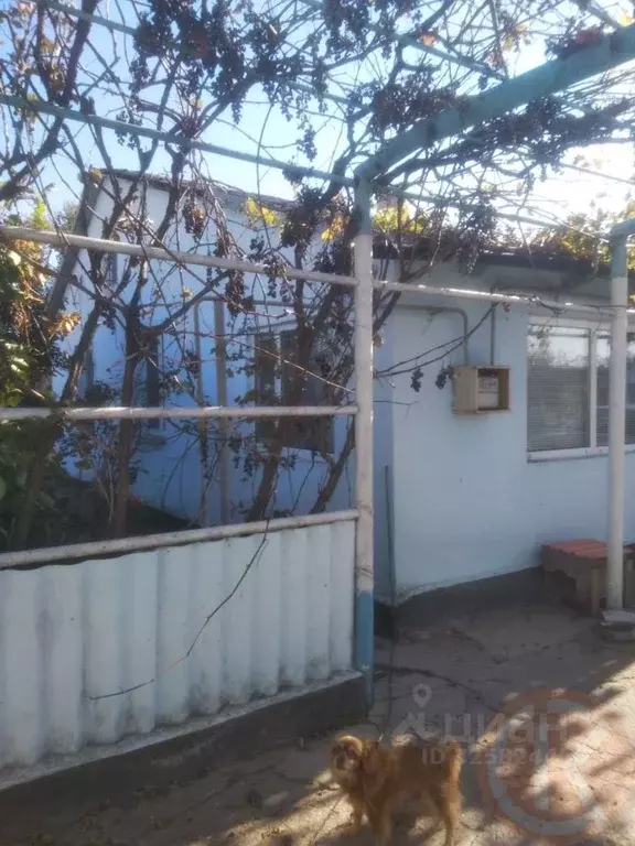 Дом в Крым, Раздольненский район, Славянское с/пос, с. Аврора ул. ... - Фото 2