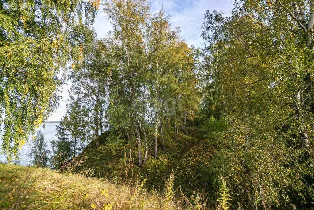 Участок в Искитимский район, Мичуринский сельсовет, дачное ... - Фото 1