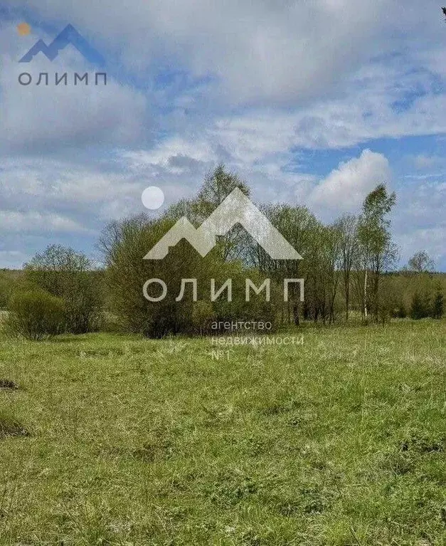 Участок в Ярославская область, Ярославский муниципальный округ, с. ... - Фото 2