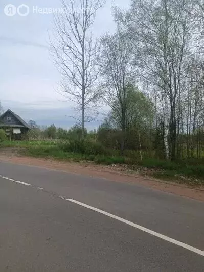 Участок в Новгородская область, Маловишерский муниципальный округ, ... - Фото 1