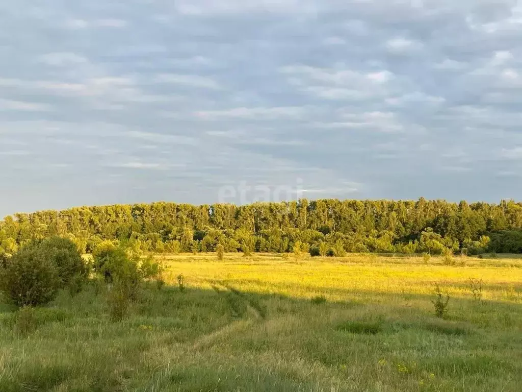 Участок в Тамбовская область, Знаменский муниципальный округ, д. ... - Фото 1