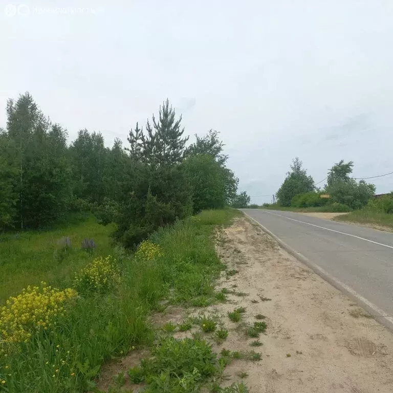 Участок в деревня Инютино, Васильковая улица, 16 (15 м) - Фото 2