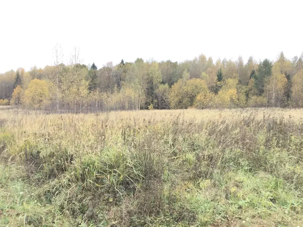 Участок в Московская область, Сергиево-Посадский городской округ, д. ... - Фото 0