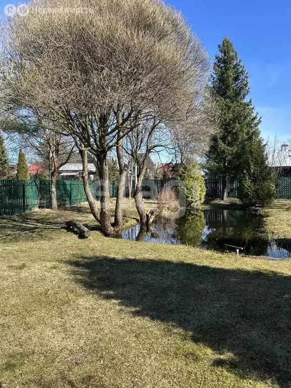 Участок в Сестрорецк, СНТ Разлив, 20-я дорожка (5.6 м) - Фото 2