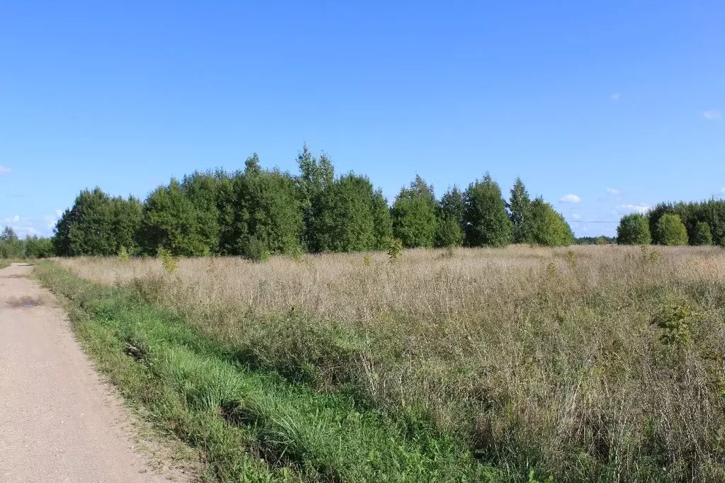 Куплю Участок В Псковском Районе Недорого