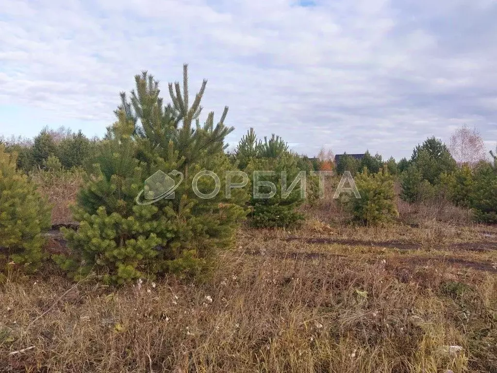 Участок в Тюменская область, Тюменский район, Новокаменский кп ул. ... - Фото 1