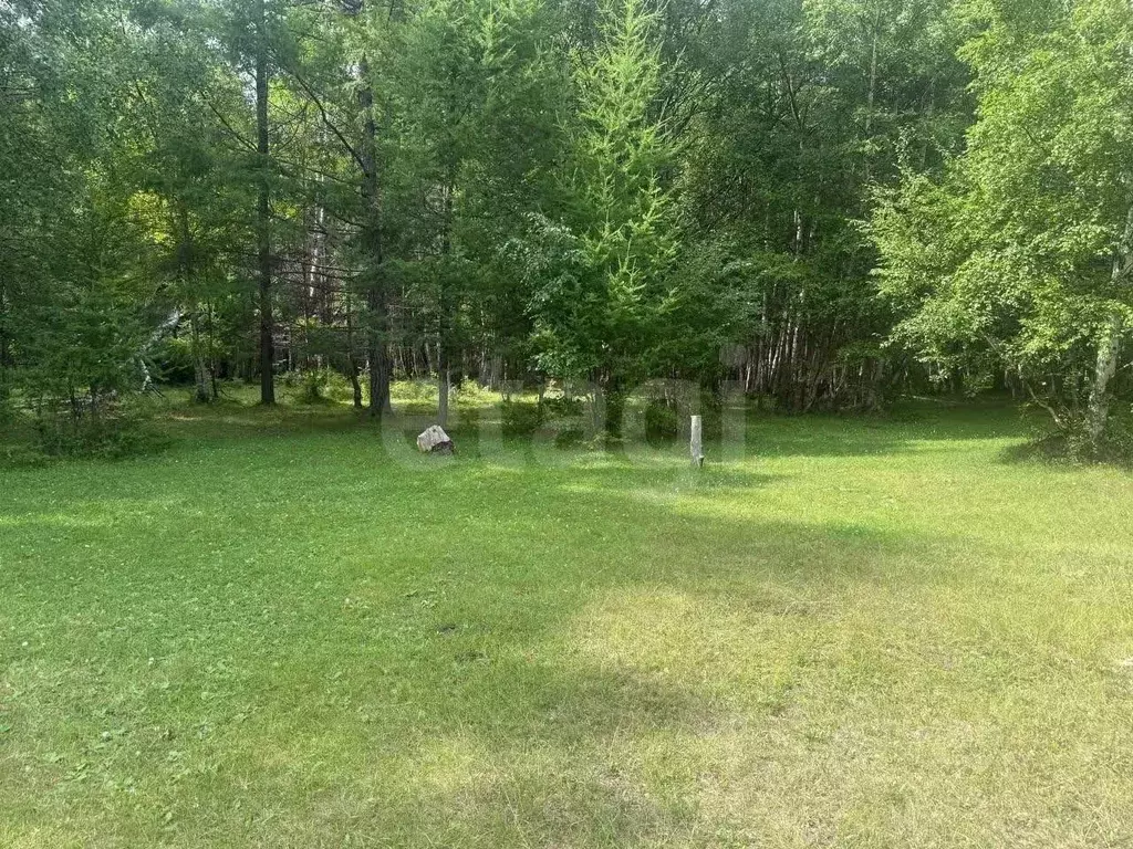 Участок в Бурятия, Кабанский район, с. Сухая  (15.68 сот.) - Фото 1