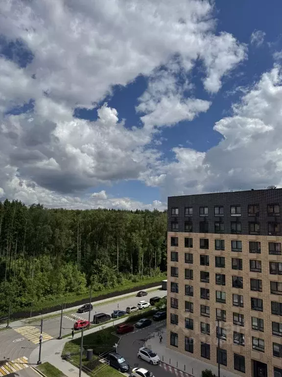 Студия Москва ул. Усадебный Парк, 7 (20.0 м) - Фото 2