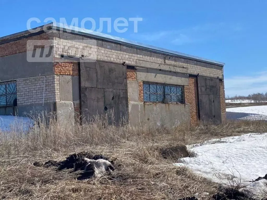 Производственное помещение в Башкортостан, Куюргазинский район, д. ... - Фото 0