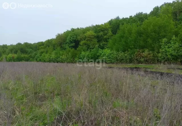 Участок в Мокшанский район, Рамзайский сельсовет, село Рамзай (10.8 м) - Фото 1