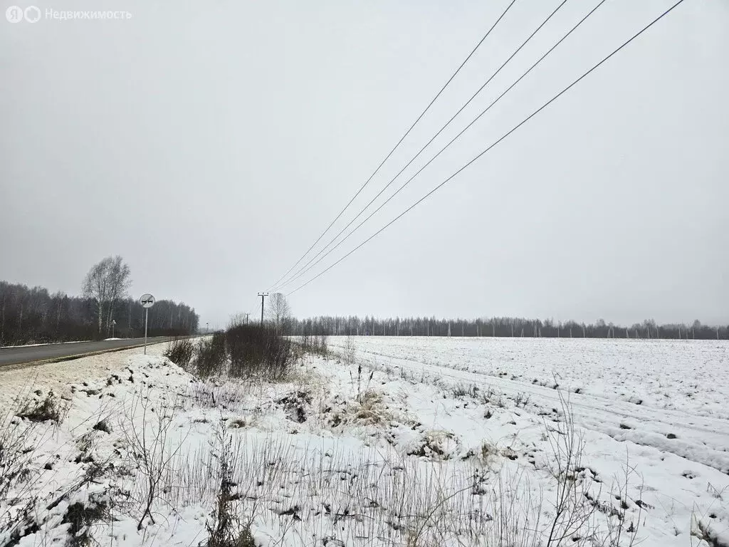 Участок в Дмитровский городской округ, дачный посёлок Раменье (6.06 м) - Фото 0