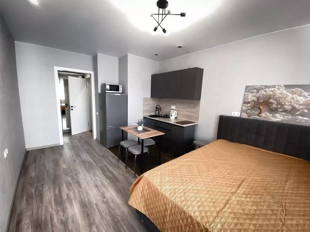 Студия Краснодарский край, Сочи Мацестинская Долина мкр, ул. ... - Фото 1