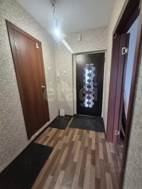 1-к кв. Новосибирская область, Новосибирск ул. Титова, 264 (33.0 м) - Фото 1