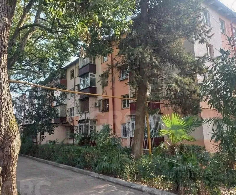 1-к кв. Краснодарский край, Сочи Гагарина мкр, бул. Цветной (30.5 м) - Фото 1