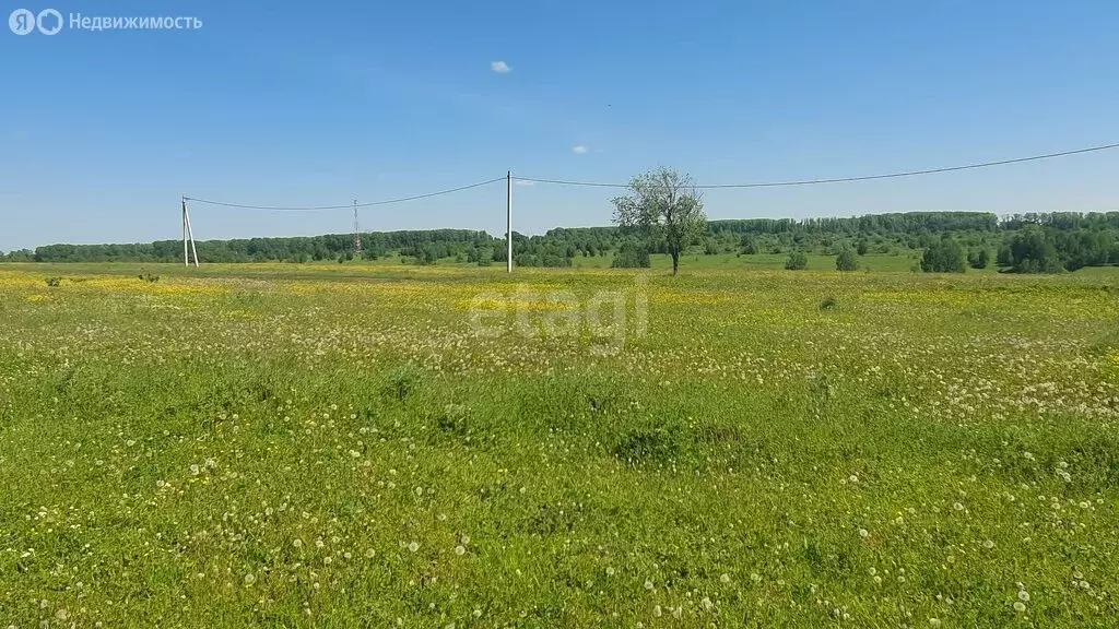 Участок в Кемерово, улица Святой Источник (9.6 м) - Фото 0