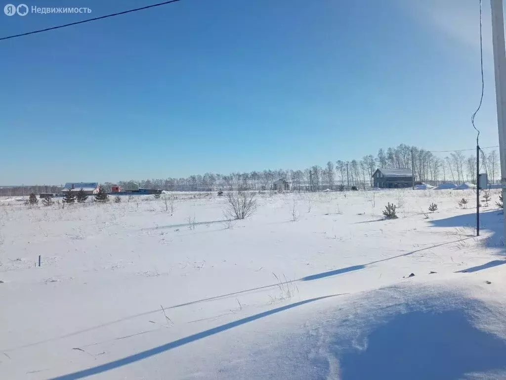 Участок в Ульяновск, СНТ Дендрарий (6 м) - Фото 0