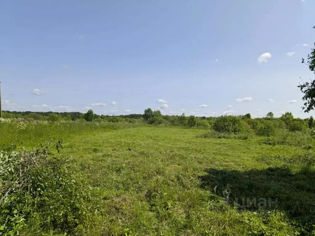 Участок в Тульская область, Ясногорский район, Ревякинское с/пос, с. ... - Фото 1